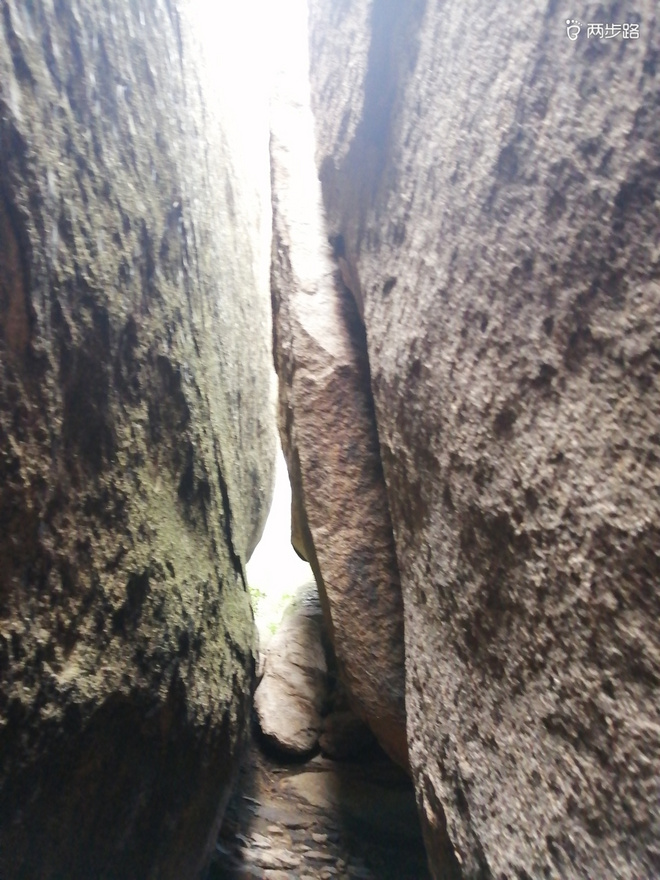 看“天书”，赏“百合”，天茶顶问茶，穿越迷魂涧