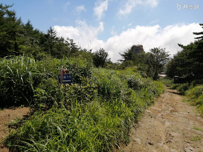 看“天书”，赏“百合”，天茶顶问茶，穿越迷魂涧