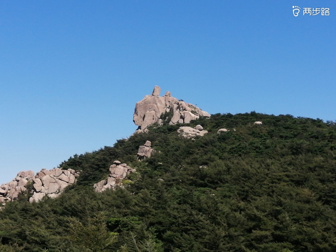 看“天书”，赏“百合”，天茶顶问茶，穿越迷魂涧