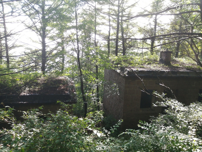 看“天书”，赏“百合”，天茶顶问茶，穿越迷魂涧