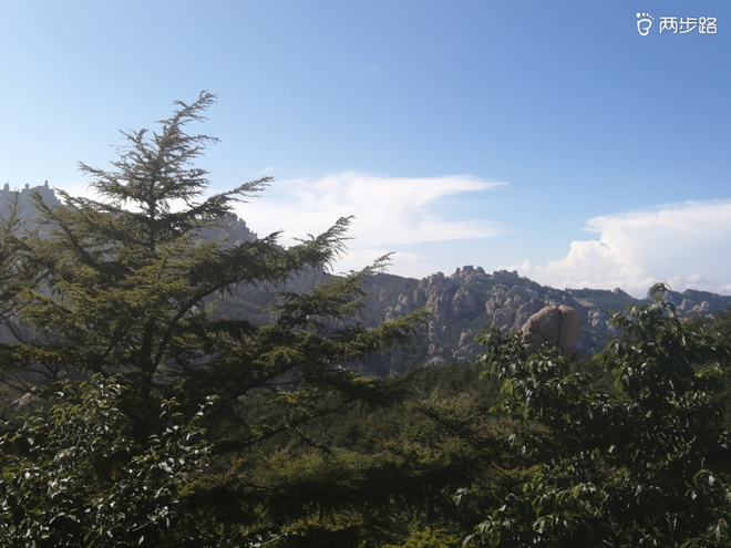 看“天书”，赏“百合”，天茶顶问茶，穿越迷魂涧