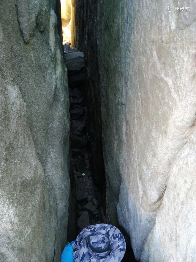 看“天书”，赏“百合”，天茶顶问茶，穿越迷魂涧