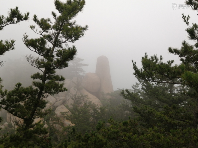 看“天书”，赏“百合”，天茶顶问茶，穿越迷魂涧