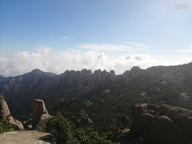 看“天书”，赏“百合”，天茶顶问茶，穿越迷魂涧