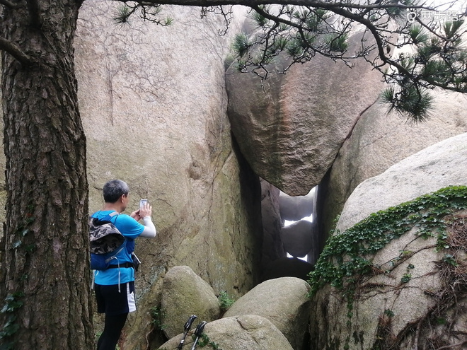 看“天书”，赏“百合”，天茶顶问茶，穿越迷魂涧