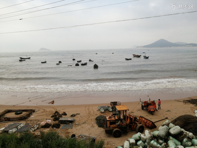 看“天书”，赏“百合”，天茶顶问茶，穿越迷魂涧