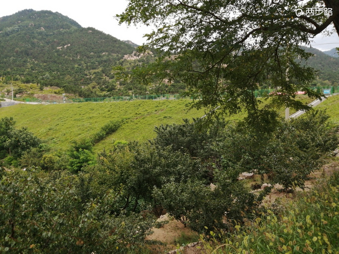 巨峰公路跑，“挑战”利奇马