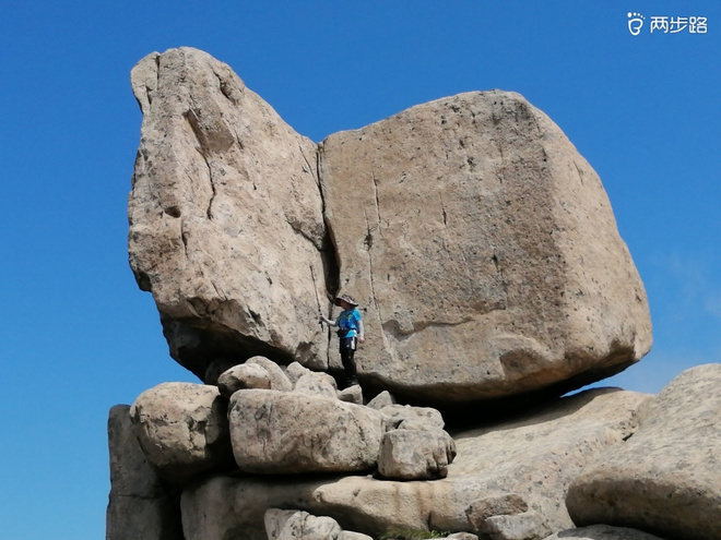 看“天书”，赏“百合”，天茶顶问茶，穿越迷魂涧