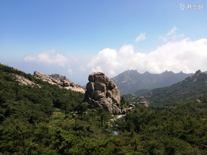 看“天书”，赏“百合”，天茶顶问茶，穿越迷魂涧