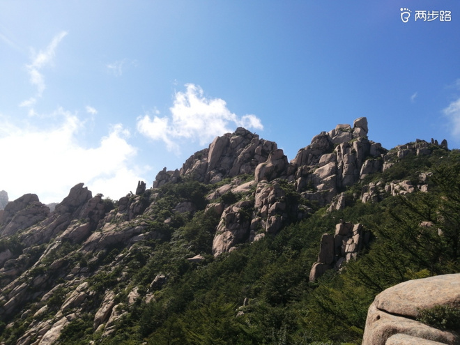 看“天书”，赏“百合”，天茶顶问茶，穿越迷魂涧