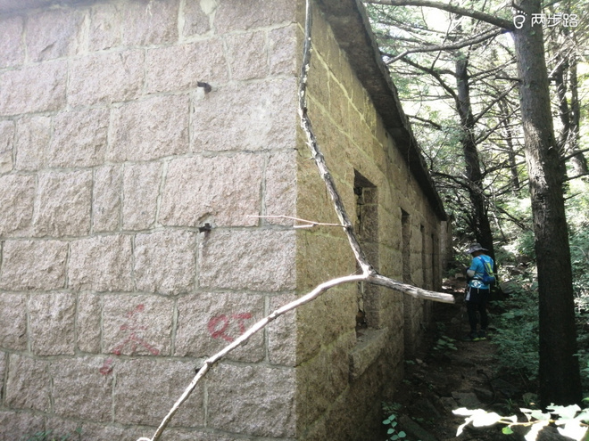 看“天书”，赏“百合”，天茶顶问茶，穿越迷魂涧