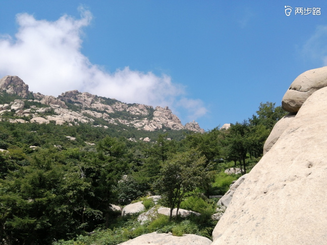 看“天书”，赏“百合”，天茶顶问茶，穿越迷魂涧