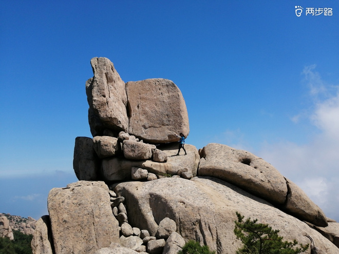 看“天书”，赏“百合”，天茶顶问茶，穿越迷魂涧