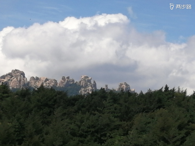 看“天书”，赏“百合”，天茶顶问茶，穿越迷魂涧