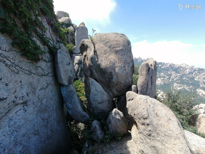 看“天书”，赏“百合”，天茶顶问茶，穿越迷魂涧