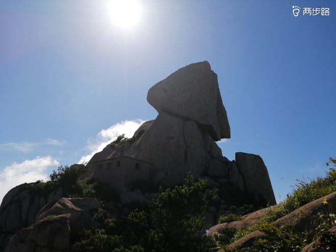 看“天书”，赏“百合”，天茶顶问茶，穿越迷魂涧