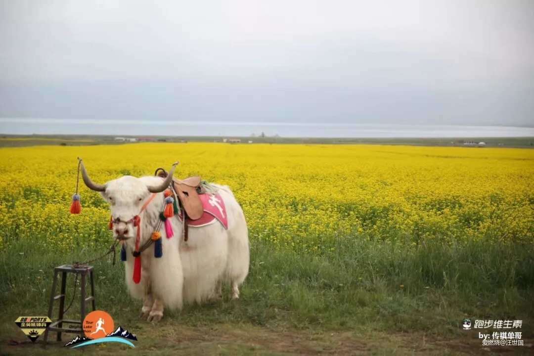 环湖赛道越野风景 五日五马感受很爽