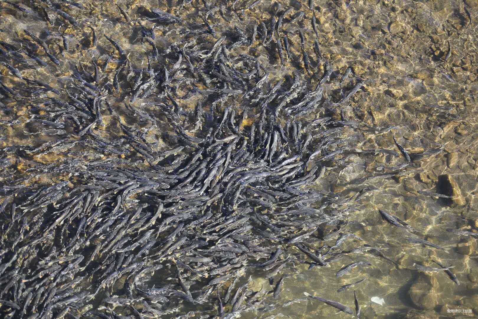 环湖赛道越野风景 五日五马感受很爽