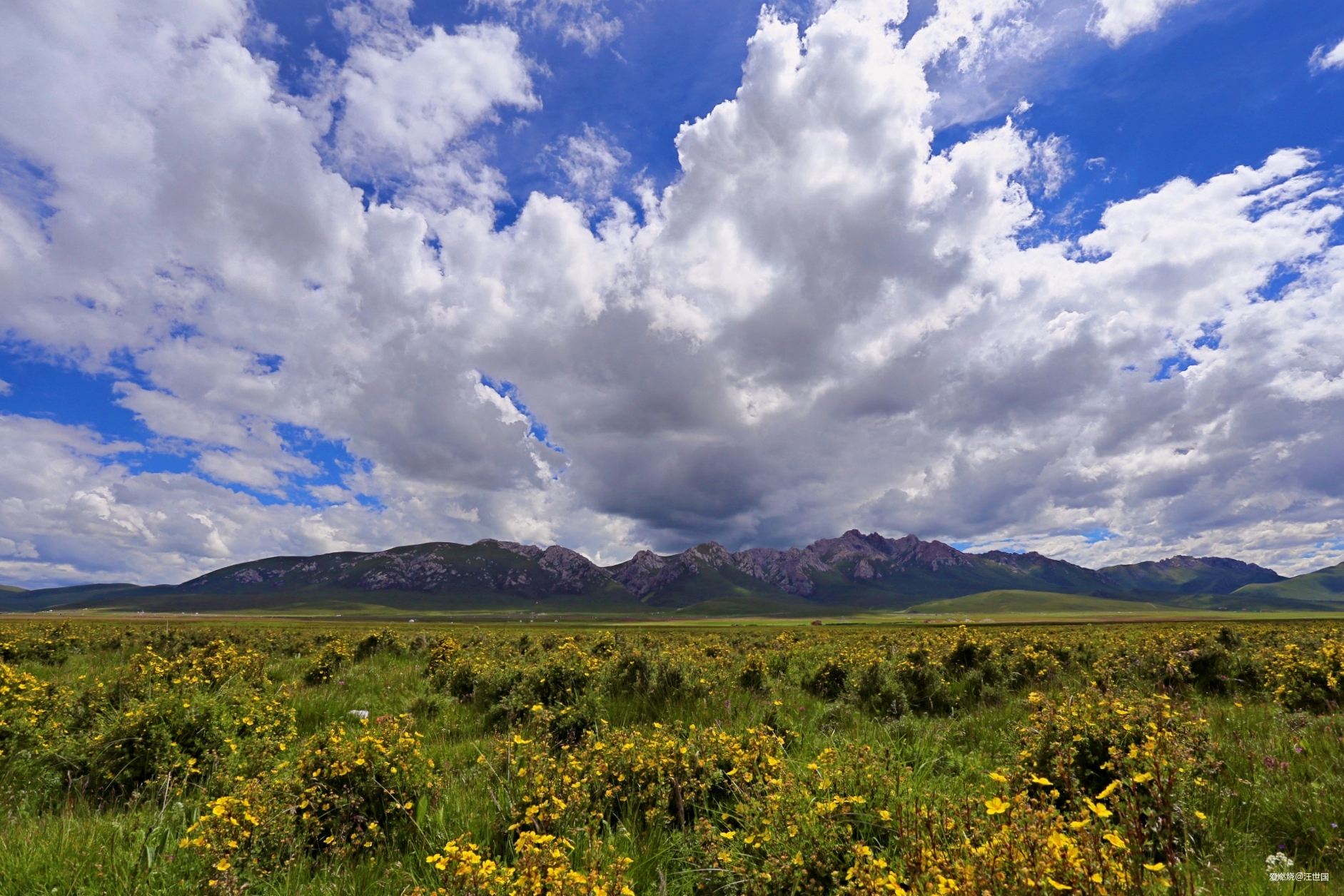 环湖赛道越野风景 五日五马感受很爽