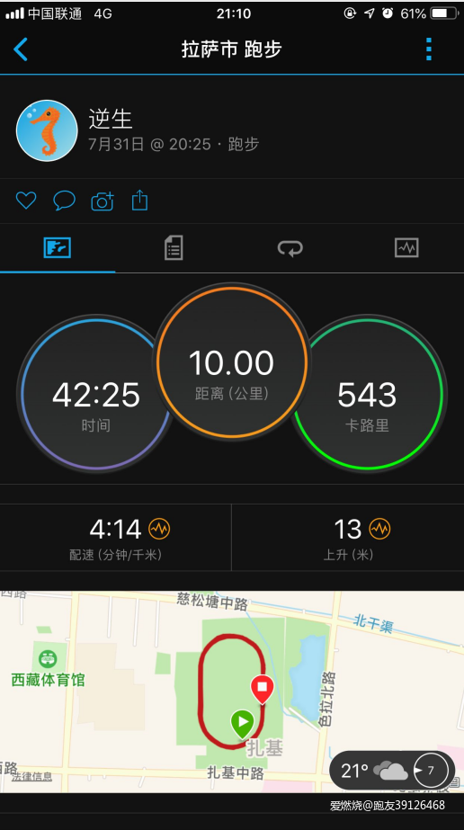 首马304跑者回归，带来第三极的跑步训练分享