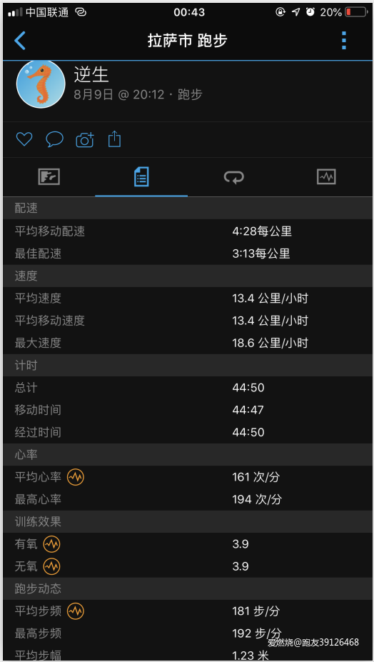 首马304跑者回归，带来第三极的跑步训练分享