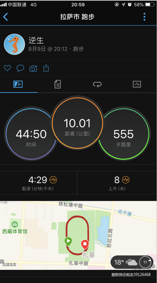 首马304跑者回归，带来第三极的跑步训练分享