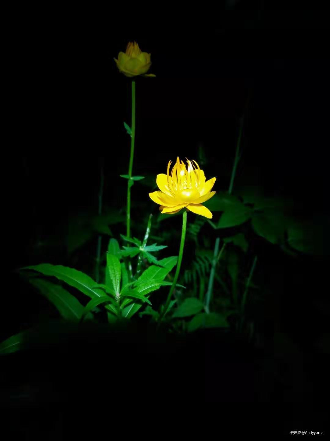 风光无限好 - 2019 Columbia 中国崇礼168国际超级越野赛 MTC70公里完赛