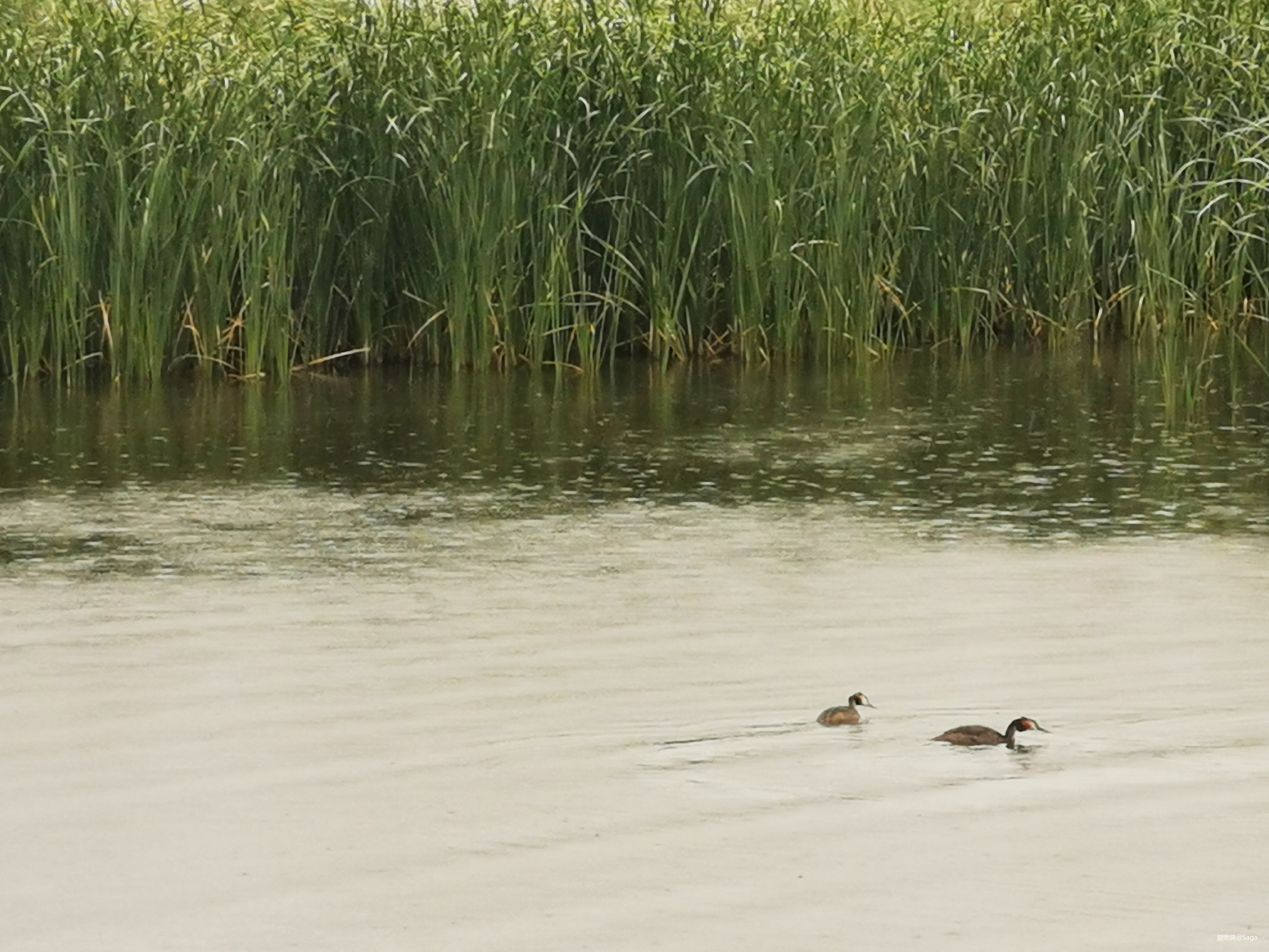 鄂尔多斯村跑：躁动夏天不停歇！让我在下雨的草原撒点野