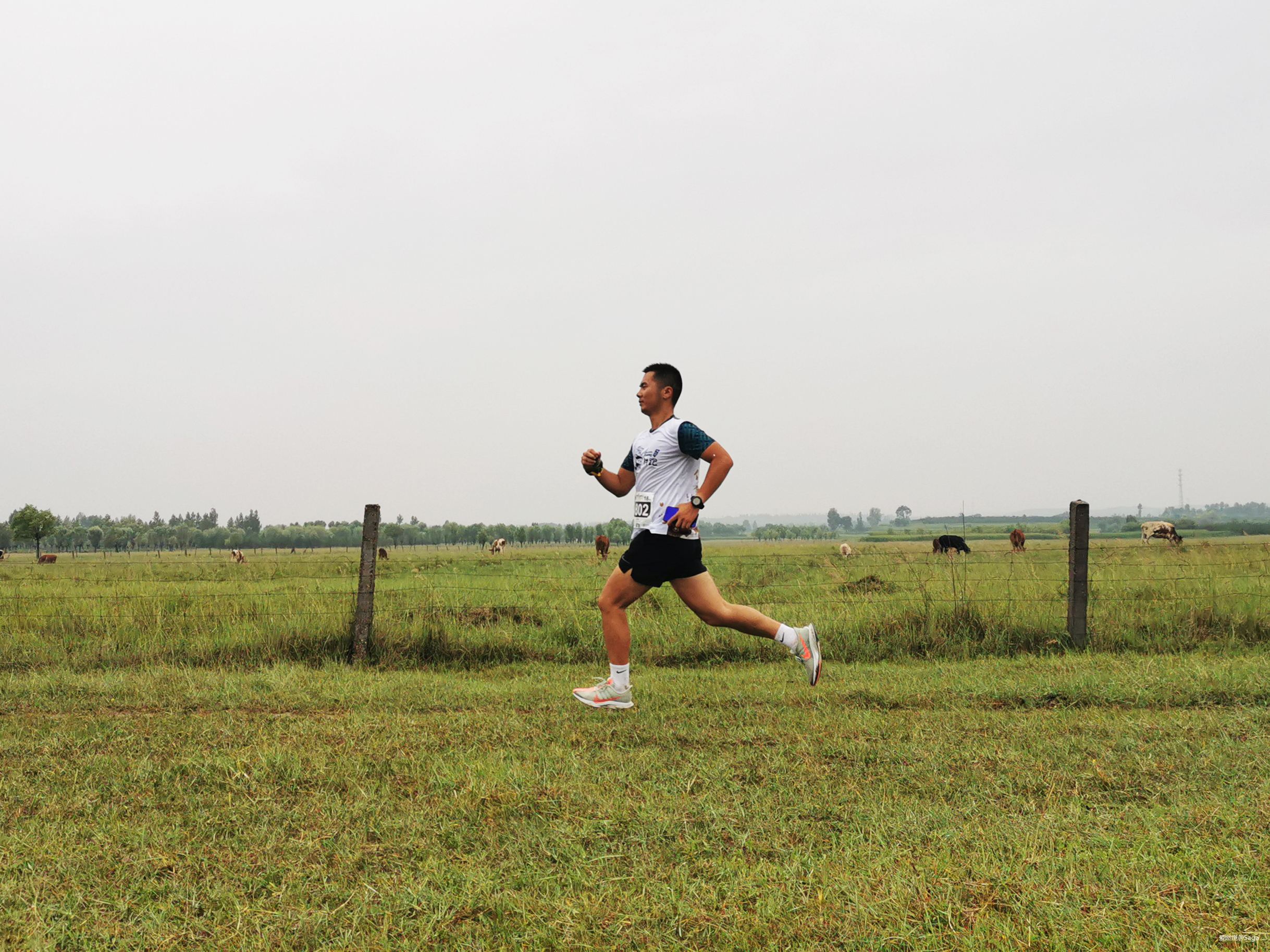 鄂尔多斯村跑：躁动夏天不停歇！让我在下雨的草原撒点野