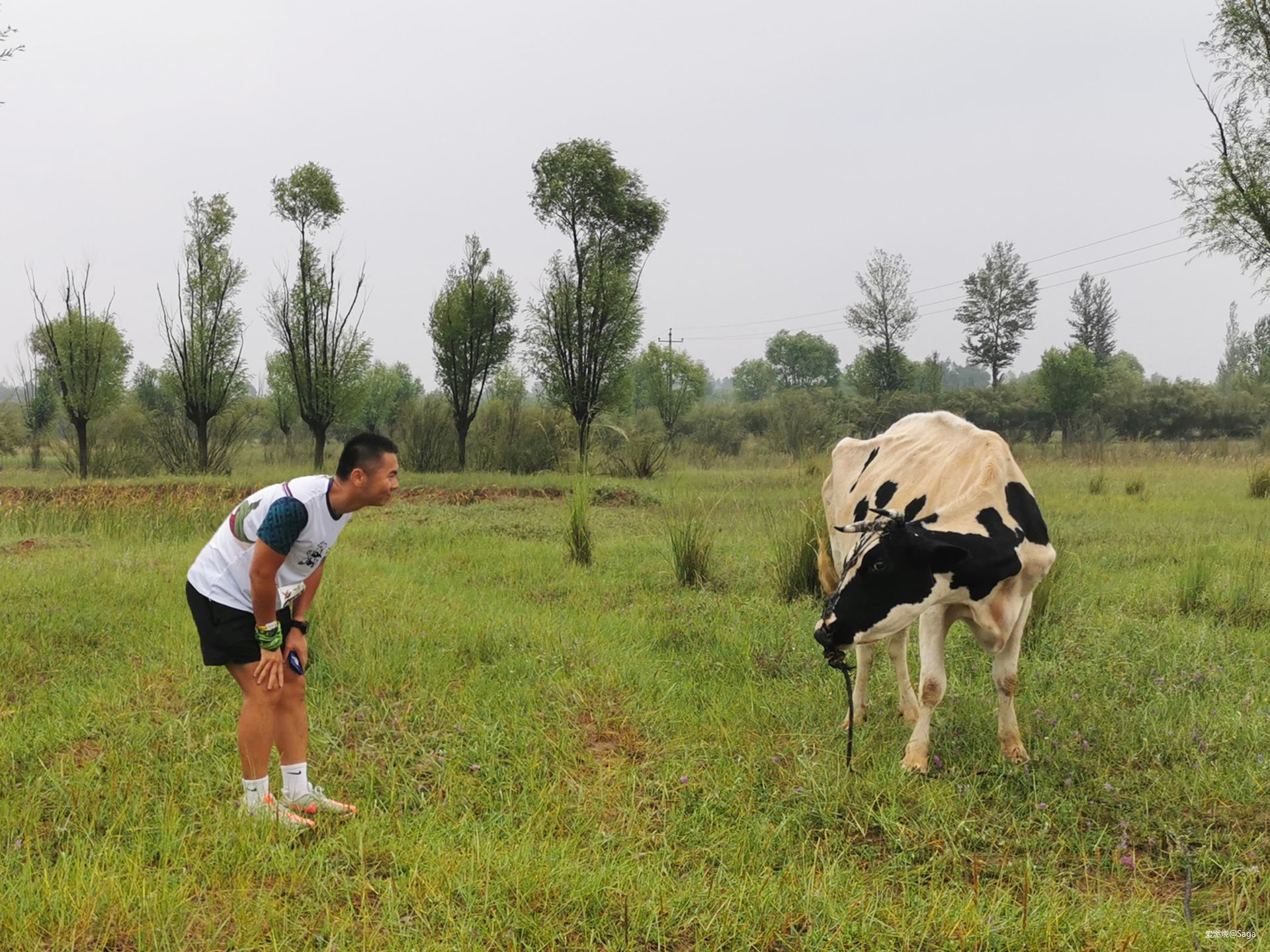 鄂尔多斯村跑：躁动夏天不停歇！让我在下雨的草原撒点野
