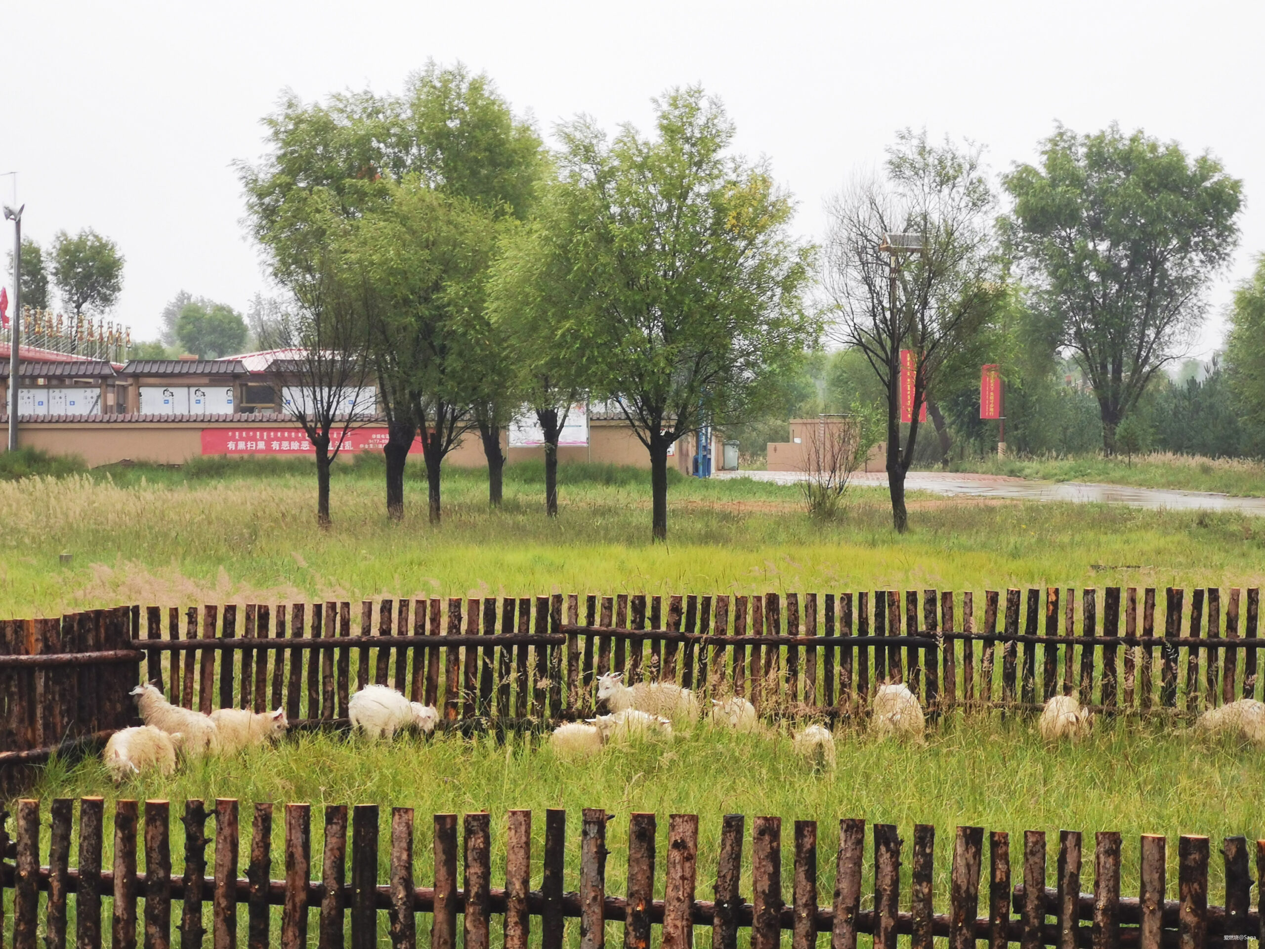 鄂尔多斯村跑：躁动夏天不停歇！让我在下雨的草原撒点野