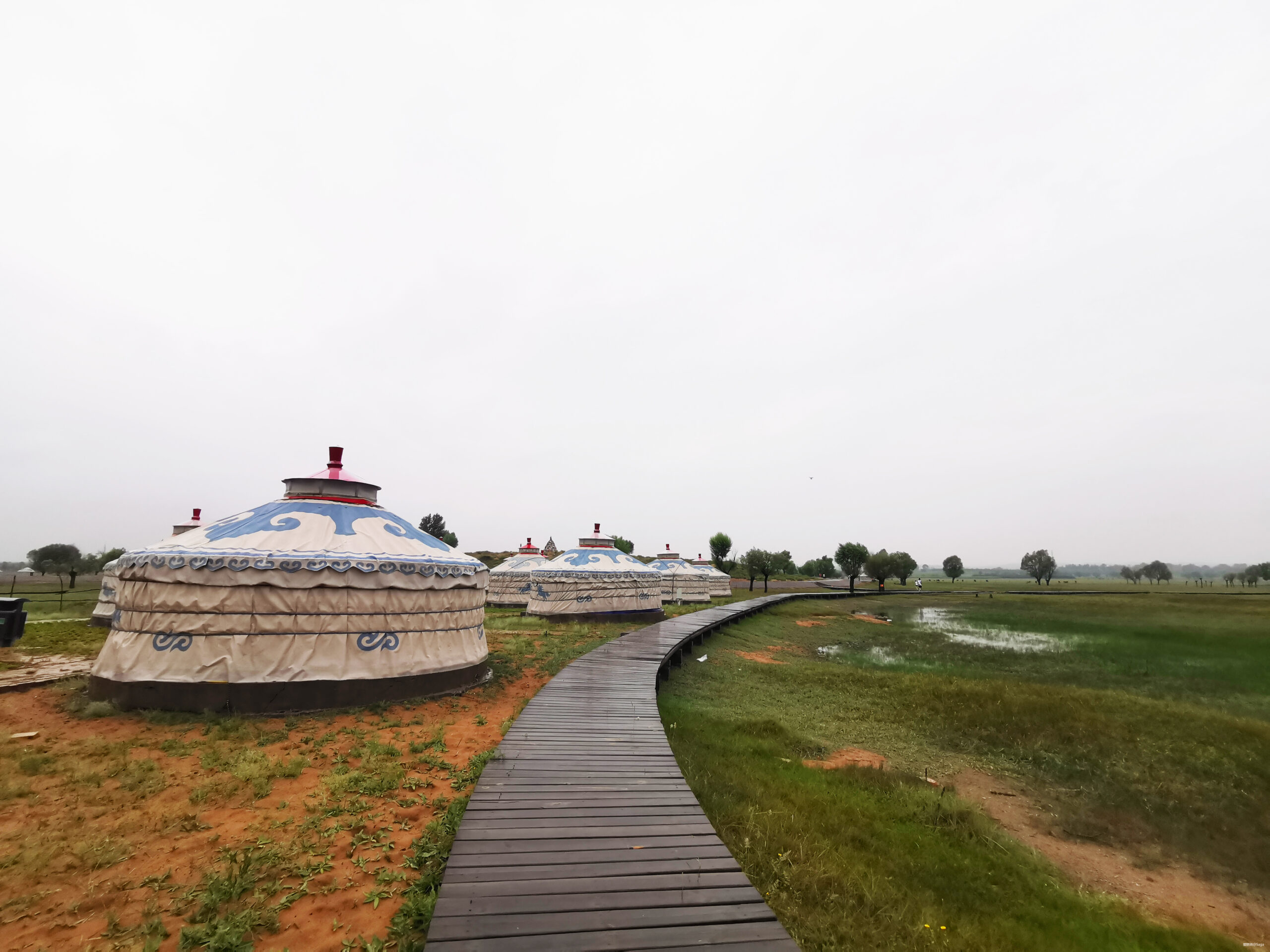 鄂尔多斯村跑：躁动夏天不停歇！让我在下雨的草原撒点野