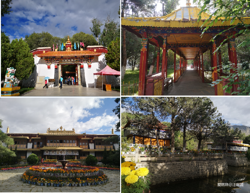 拉萨半程马拉松  又一次高原旅行