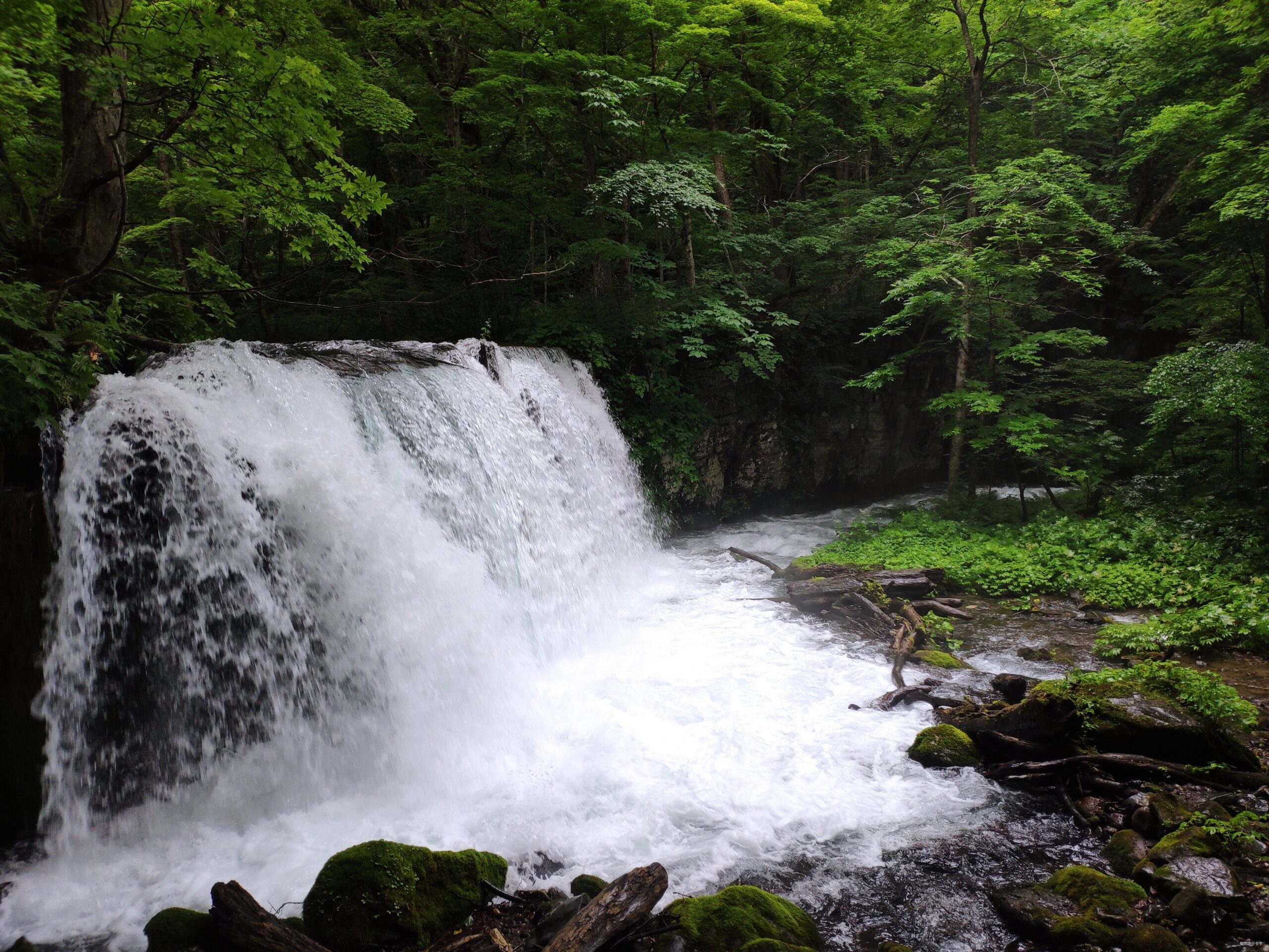 宝藏比赛的记录 -- 十和田湖马拉松