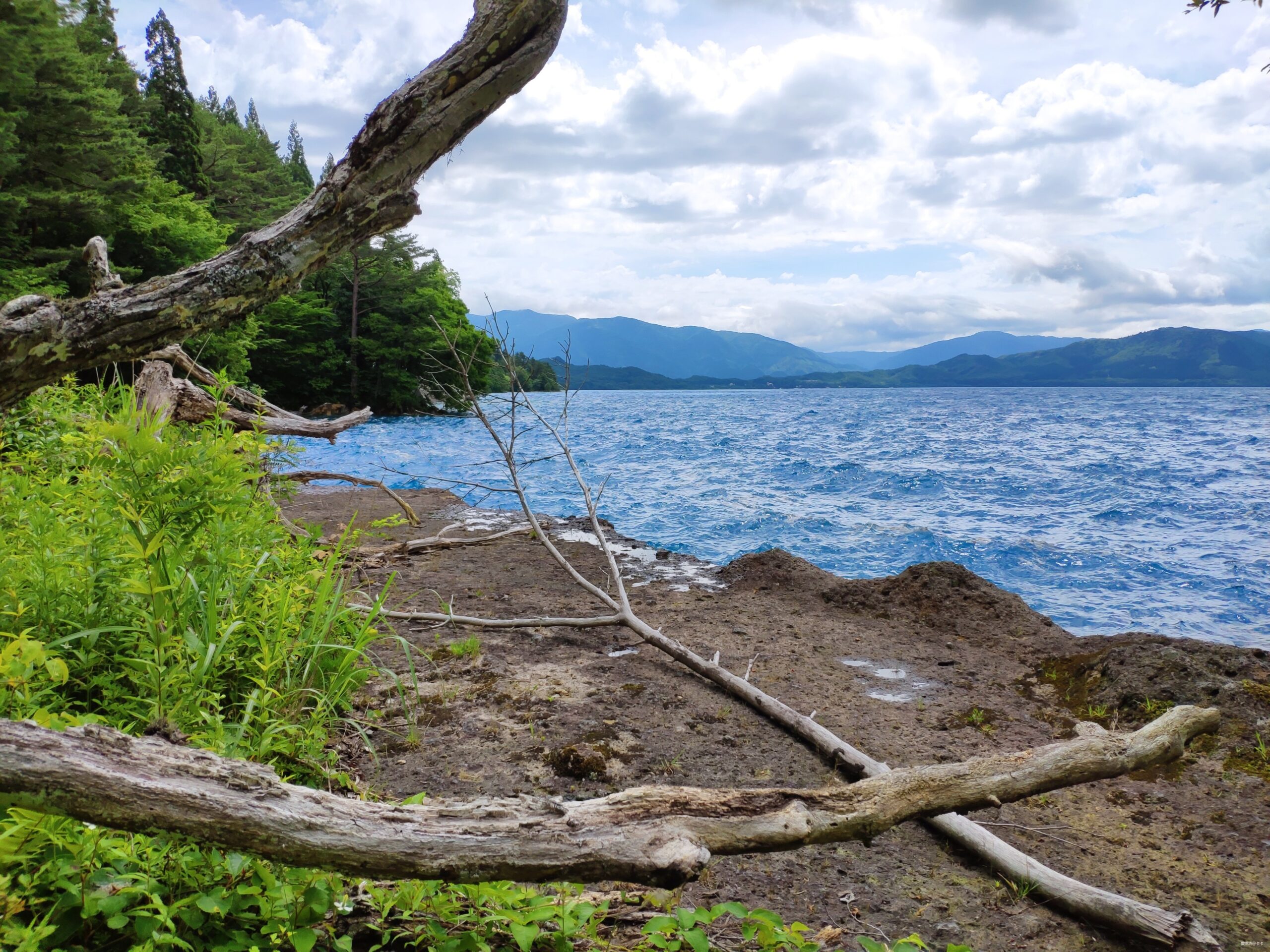 宝藏比赛的记录 -- 十和田湖马拉松