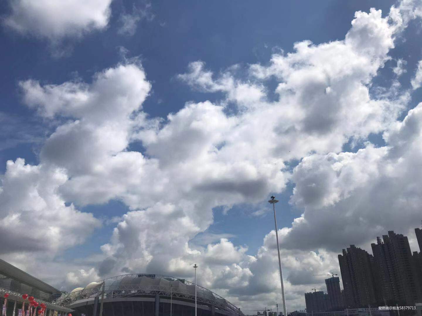 我的首马全纪录-2019哈尔滨马拉松