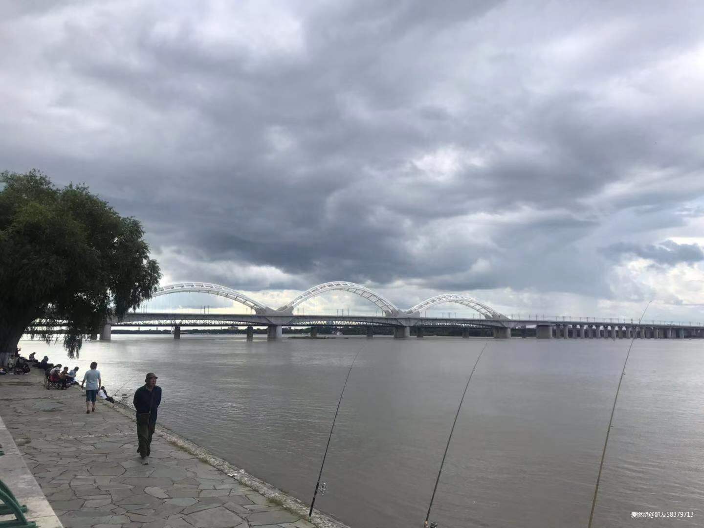 我的首马全纪录-2019哈尔滨马拉松