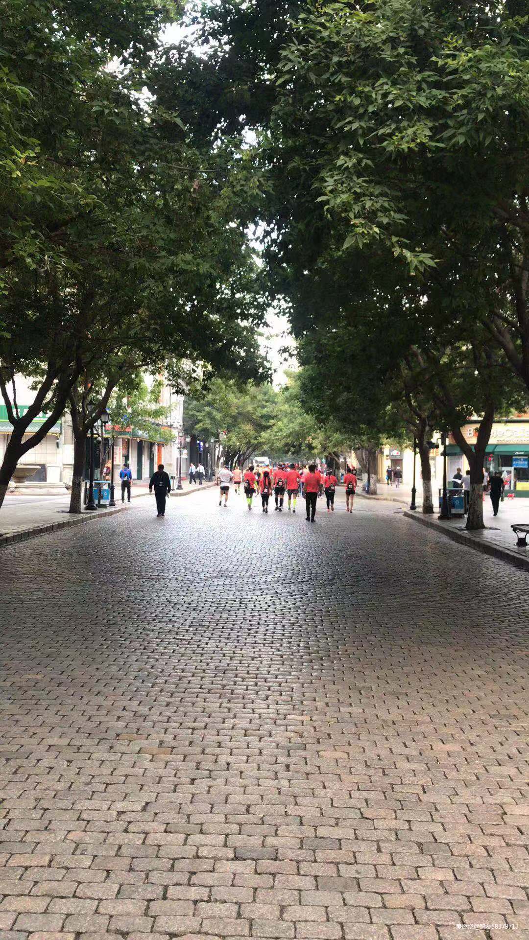 我的首马全纪录-2019哈尔滨马拉松