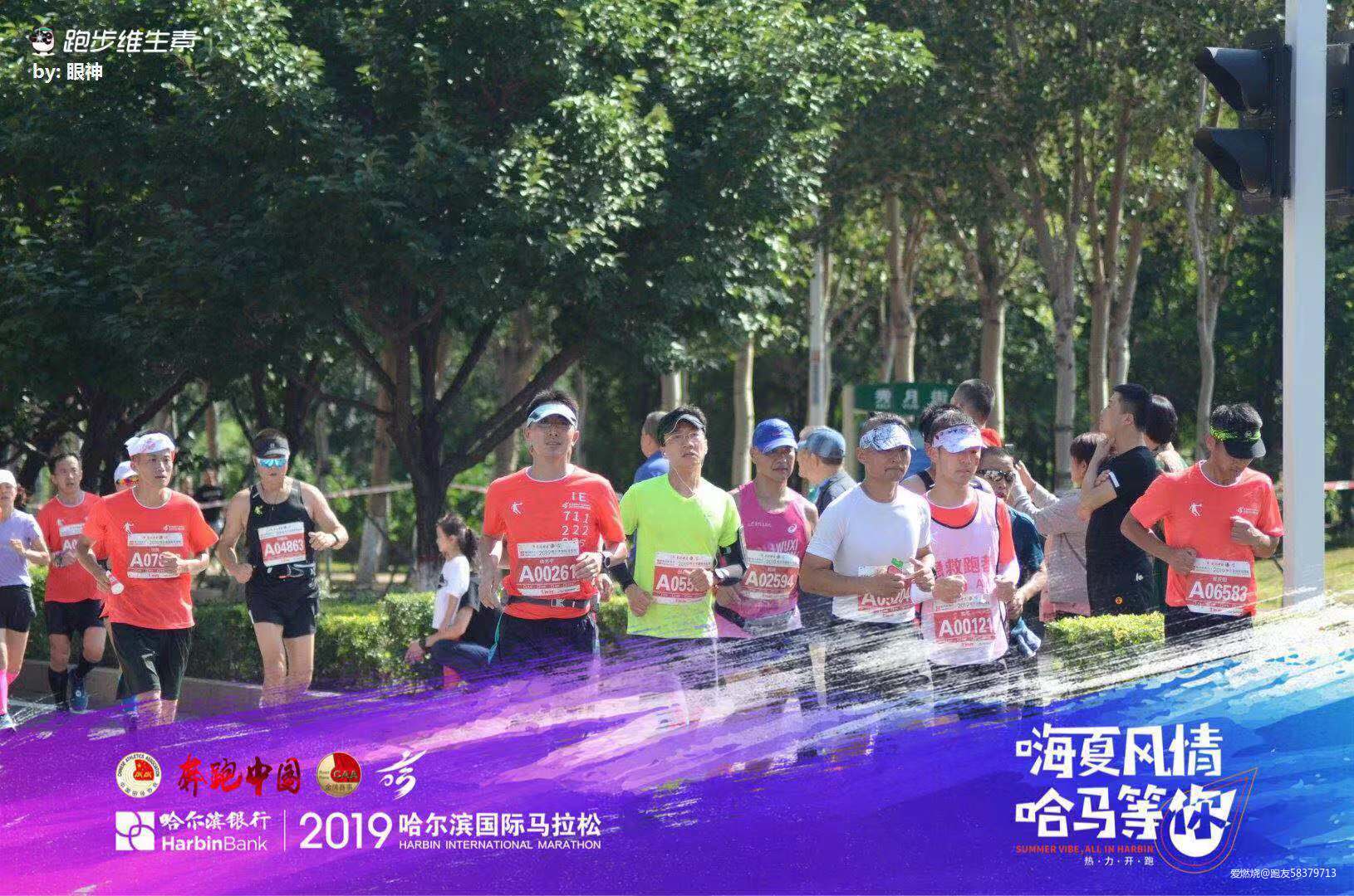 我的首马全纪录-2019哈尔滨马拉松