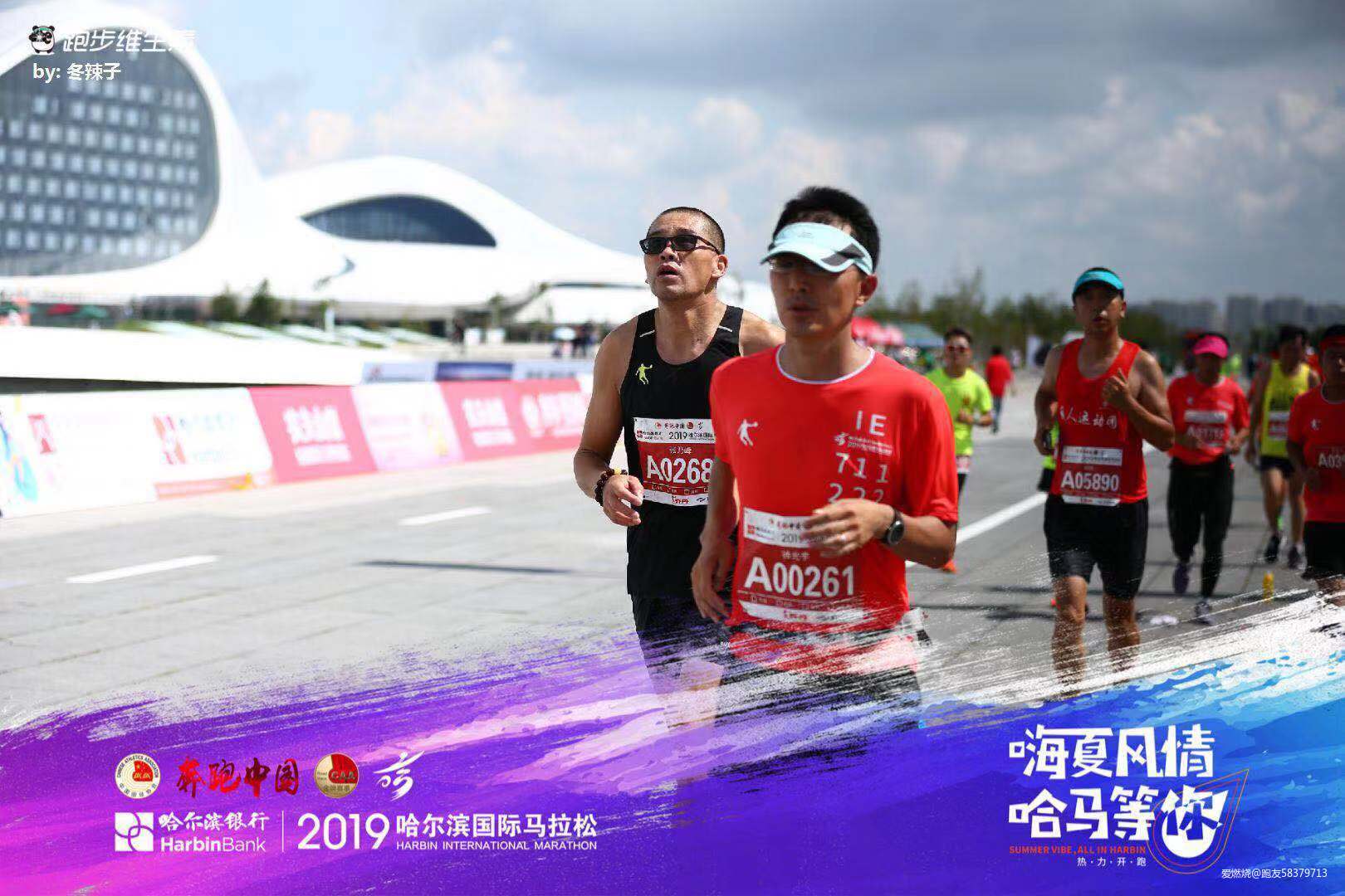 我的首马全纪录-2019哈尔滨马拉松