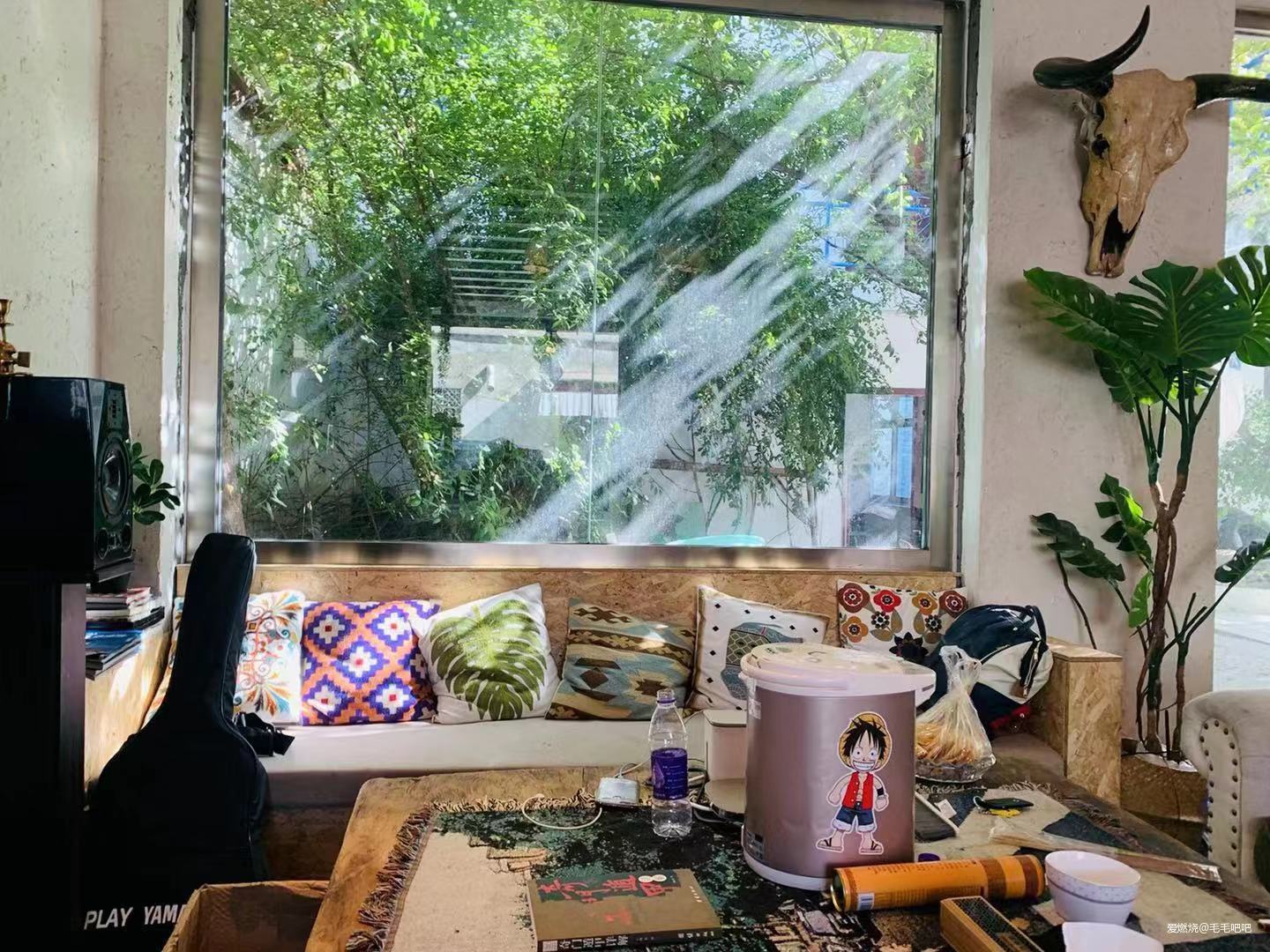 求是蓝飘扬在高原——2019拉萨马拉松赛记