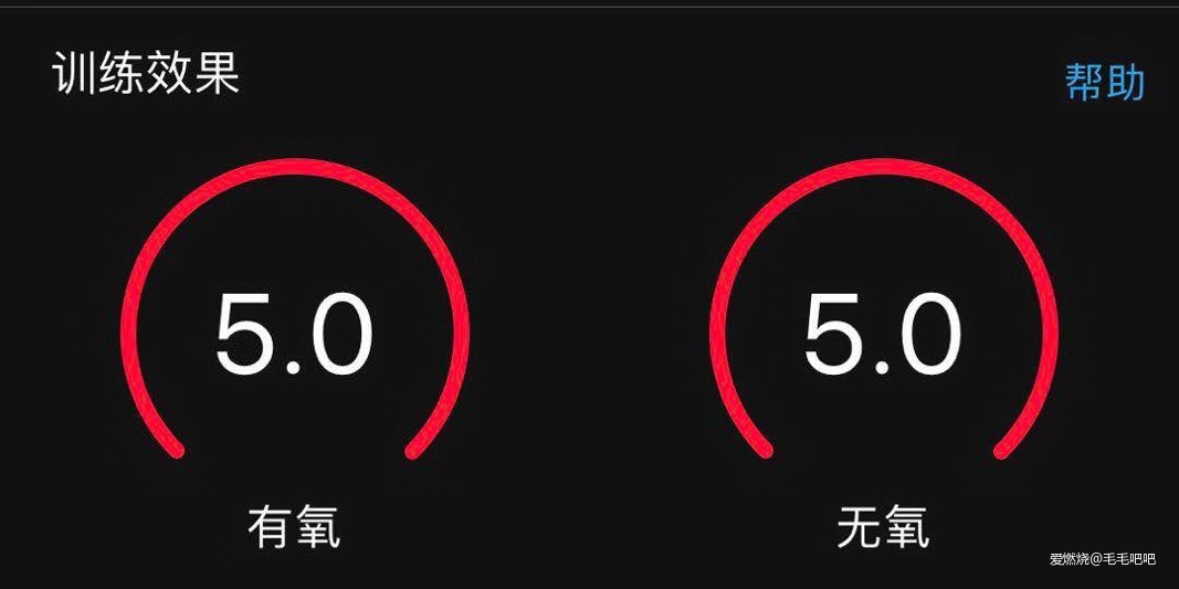 求是蓝飘扬在高原——2019拉萨马拉松赛记