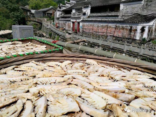 奔跑——只为遇见，江南168赛记