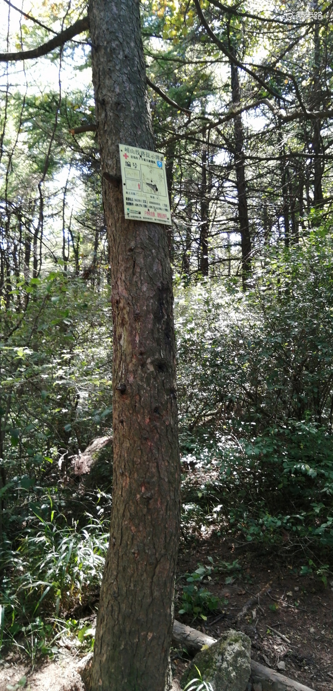 致敬UTMB-崂山小环线徒步