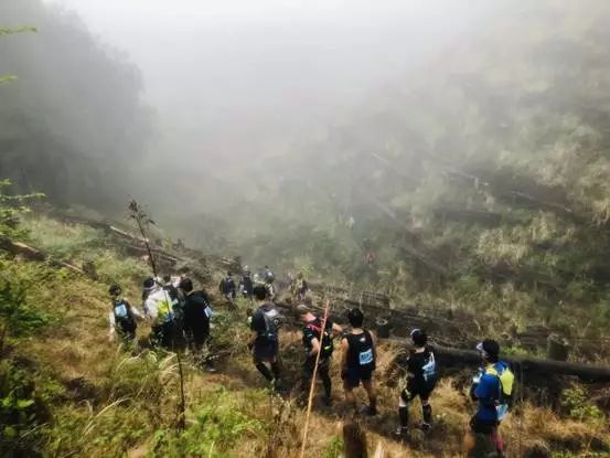 2019 UTMF