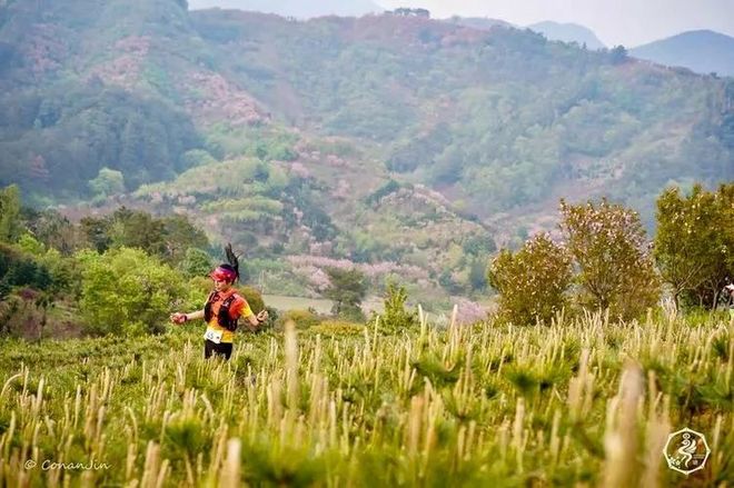 我在江南樱花季，遇见最勇敢的自己——记首百四明山110km越野赛