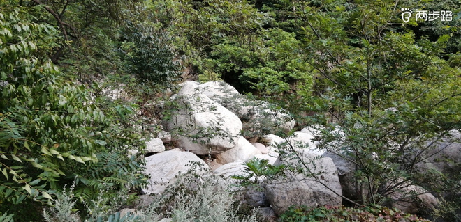 致敬UTMB-崂山小环线徒步