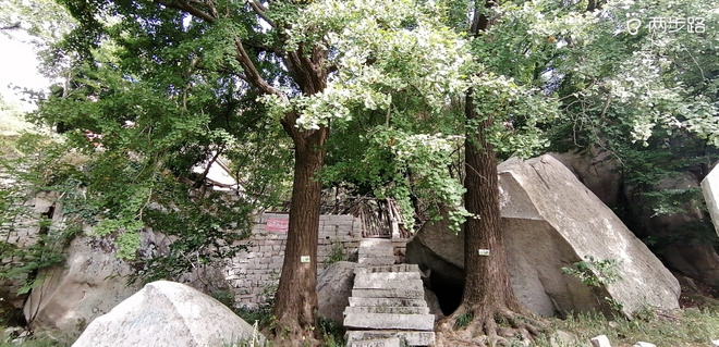 敬畏自然-致敬即将到来的LS100-中段赛道体验