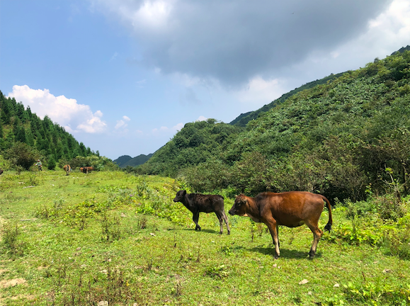 越过山丘，有人等候|记2019龙脊百公里跑山赛