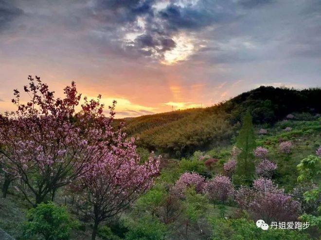 奔跑——只为遇见，江南168赛记